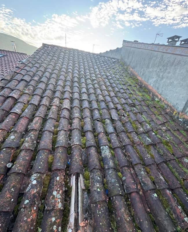 Toiture en tuiles canal envahie de mousses et lichens nécessitant un couvreur ariege professionnel